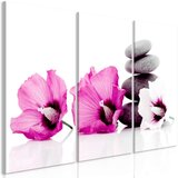  Slika - Calm Mallow (3 Parts) Pink 120x80 Cijene