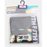 Sinsay Komplet od 2 para bokserica s visokim udjelom pamuka South Park Slike