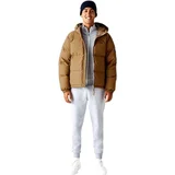 Lacoste Plašči CHAQUETA HOMBRE ACOLCHADA BH3522 00 Kostanjeva
