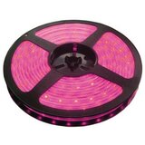  traka roza 60 LED / 1m LTR3528/60P-12 Cene