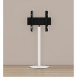 MID.YOU Stojalo Za Tv Cirla, Bela | Shoptok.si