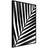  Poster - Black Palm 20x30 Cijene