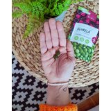 Malinca detoks | Shoptok.si