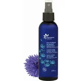 cornflower floral water