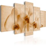  Slika - Orchid and melancholy 200x100 | shoptok.hr