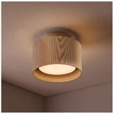 Brilagi Ugradno spot svetlo BACKLIT 1xGX53/15W/230V prečnik 10 cm u dekoru hrasta | Eponuda.com