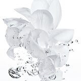 Christian Dior Hydra Life Balancing Hydration 2 in 1 Sorbet Water vlažilna vodica 175 ml za ženske Cene