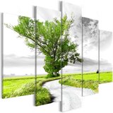  Slika - Tree near the Road (5 Parts) Green 100x50 Cijene