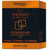 Prosalon Tretman za Oštećenu i Suvu Kosu HOT THERAPY