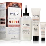 Phyto Color barva za lase z rastlinskimi izvlečki odtenek 7.43 Copper Golden Blonde 3 kos | Shoptok.si