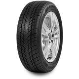 Davanti 255/50 R19 Wintoura SUV 107V Cene