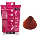 YOUNG Farba za kosu No 7.64, Red Copper Blond, 100ml Cene