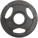 Rebel Active olimpijski utezi od lijevanog željeza 4x1,25 kg, rupa 51 mm, ploča s ručkama | shoptok.hr