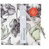 MALO božično darilo - set za gojenje "Božična vrtnica" - 1 k. | Shoptok.si