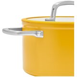 FABINI Aluminijast lonec s pokrovko in neprijemljivo površino za indukcijsko ploščo 5,5 l Meda 3.0 – | Shoptok.si