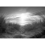  Foto tapeta - beach (black and white) 343x256 | shoptok.hr