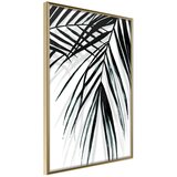  Poster - Leaf and Its Shadow 40x60 Cijene