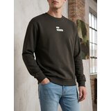 Sinsay Bluza s okruglim izrezom s printom | shoptok.hr