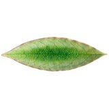 Costa Nova Pladanj od kamenine 6x18 cm Riviera – | shoptok.hr