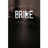 Steam Brine Key (PC) GLOBAL Steam Brine Key (PC) GLOBAL Slike