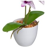 Casa Selección Umetna rastlina (višina 43 cm) – | Shoptok.si