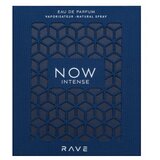 Rave Now Intense parfumirana voda za moške 100 ml | Shoptok.si