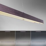 PAUL NEUHAUS 2568-24 - led prigušiva luster na sajli adriana LED/14W/230V | Eponuda.com