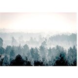  Samoljepljiva foto tapeta - Winter Forest 147x105 | shoptok.hr
