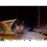 Keepguard KG795W kamera za lov i klasični dvogled FOMEI 7-21x40 ZCF Zoom + 32GB SD kartica i 8 baterija! | shoptok.hr