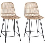 Barska stolica 2 pcs Prirodna 44 x 54 x 96 cm Ratan i Čelik | shoptok.hr