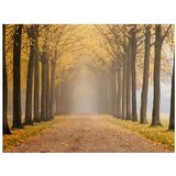  Tapeta - Journey to the unknown 400x309 | shoptok.hr