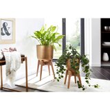 MID.YOU SET CVETLIČNIH LONČKOV | Shoptok.si