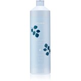 EchosLine Frequent Conditioner balzam za vsakodnevno uporabo 1000 ml Cene