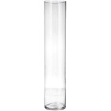 Ad trend Vaza Lyon 12xh60cm / cilinder / steklo, (5000199639) | Shoptok.si