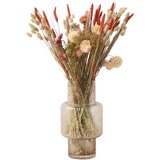 Plant in a Box posušeno cvetje - bouquet 'trendy hippy' - šopek - rjava, (21758362) | Shoptok.si