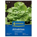 KIEPENKERL Zelenjavna semena Solata Attraktion (Lactuca sativa, Čas žetve: Junij) Cene