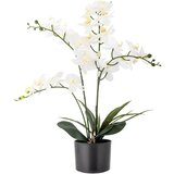 Bloomingville Umetna rastlina (višina 84 cm) Orchid – Cene