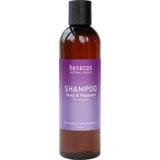 Benecos Natural Basics šampon za njegu i sjaj Cijene