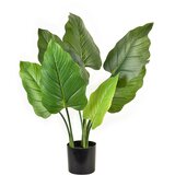 Mondex Viridis Umetno Cvetje Allocasia H65Cm V Cvetličnem Loncu, (5000179673) Cene