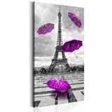  Slika - Paris: Purple Umbrellas 60x120 Cijene