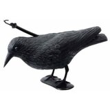 Stocker Italija rasterivac ptica vrana A.4539 Cene