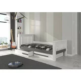 ADRK Furniture Otroška postelja Carmel - 80x180 cm