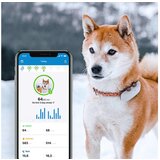 Tractive GPS Dog 4 Tracker | Shoptok.si