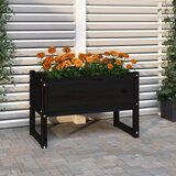 vidaXL Visoka greda črna 78x40x52 cm trdna borovina Cene