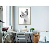  Poster - Sphinx 30x45 | shoptok.hr