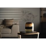 Leonardo VAZA | Shoptok.si