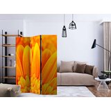  Paravan u 3 dijela - Yellow gerbera daisies [Room Dividers] 135x172 | shoptok.hr