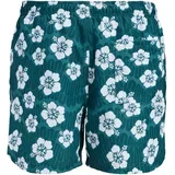 Muški kupaći kostim JREBHAWAII SWIM SHORT PRINT, Zelena