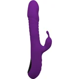 RoMAX Heating & Bouncing Rabbit Purple