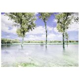  Tapeta - Spring scenery 300x210 | shoptok.hr